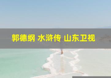 郭德纲 水浒传 山东卫视